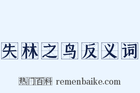 失林之鸟反义词是什么意思的图片